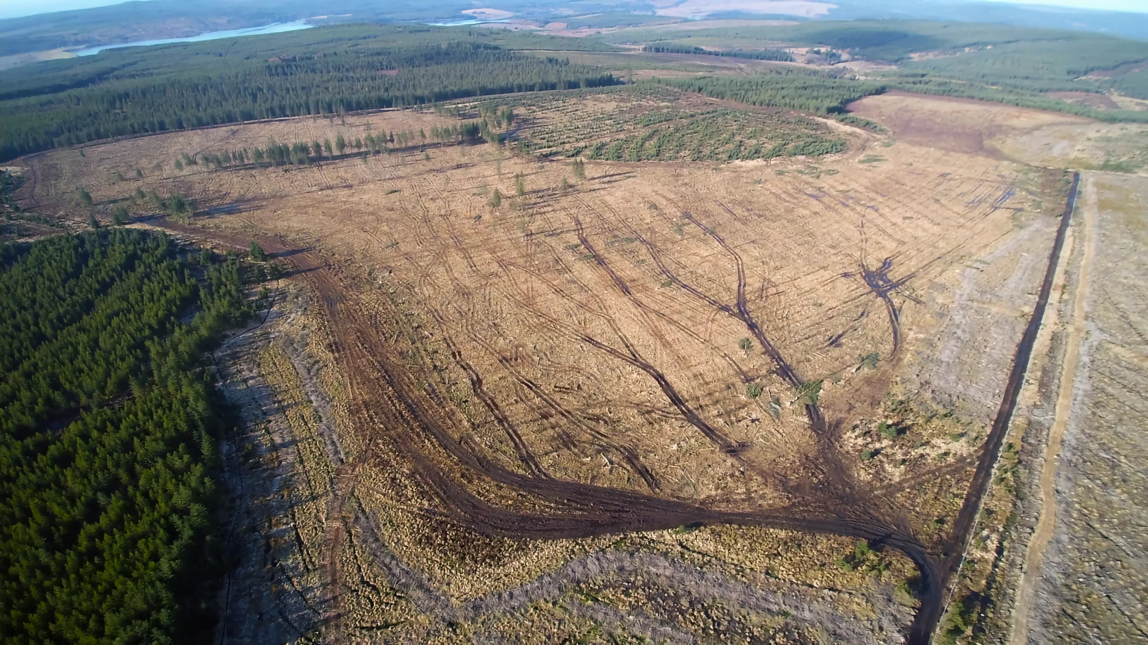 Aerial photo of large area of peatland restored by Treeclear UK
