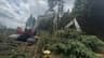 Whole Tree Biomass Recovery (Blea Moor, The Yorkshire Dales National Park - Phase 2)