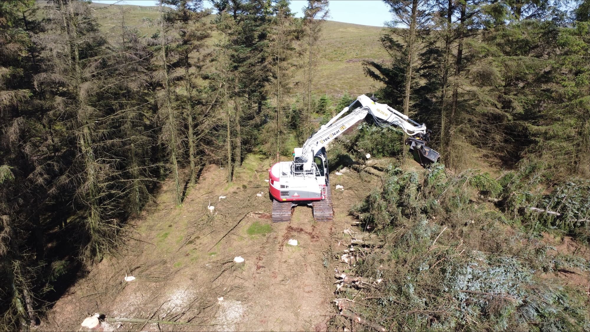 whole tree biomass recovery