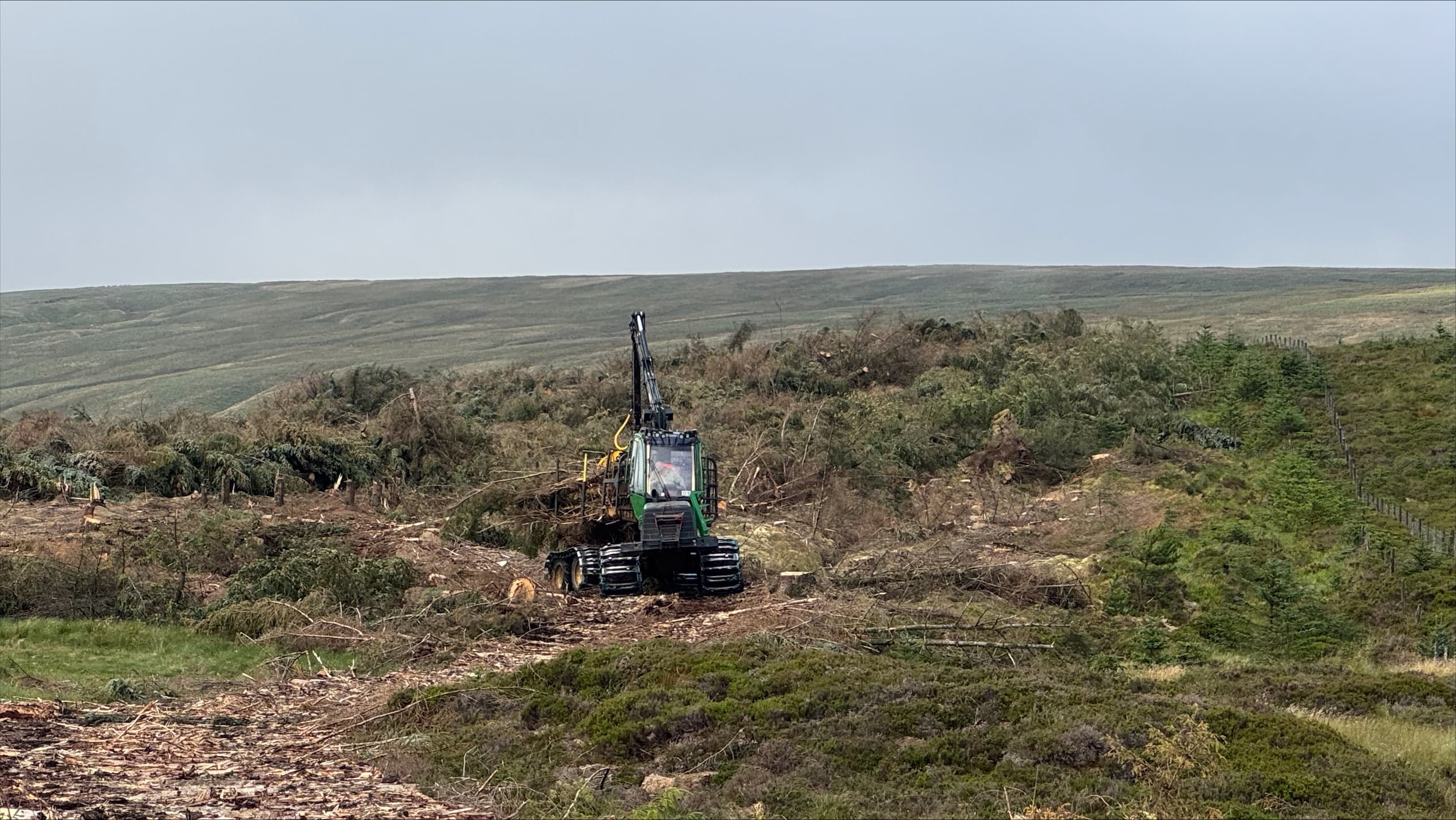 blea moor phase two case study