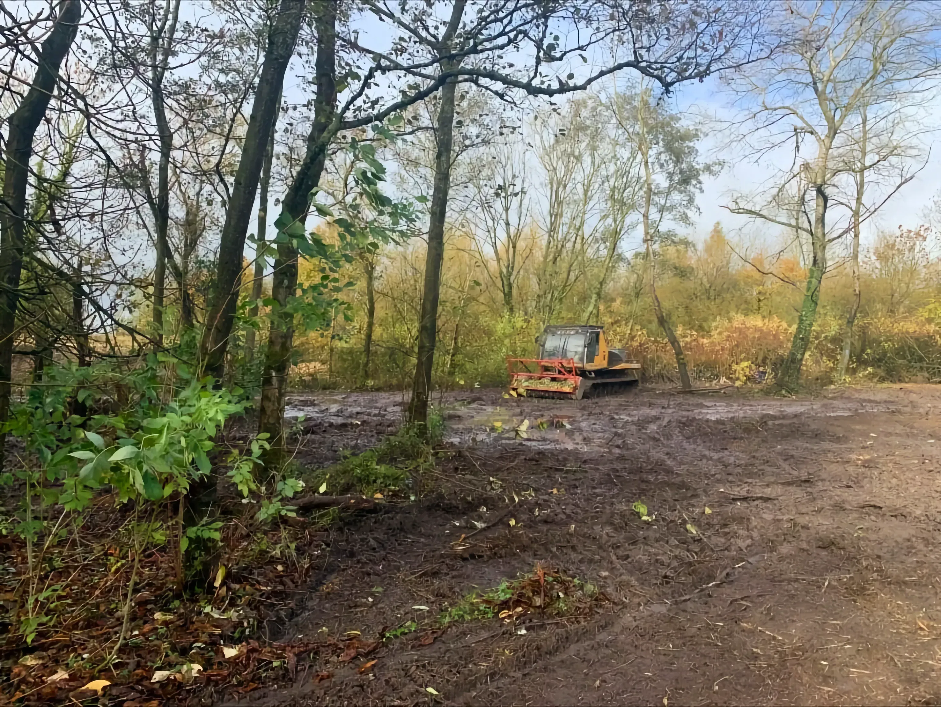 Vegetation Clearance
