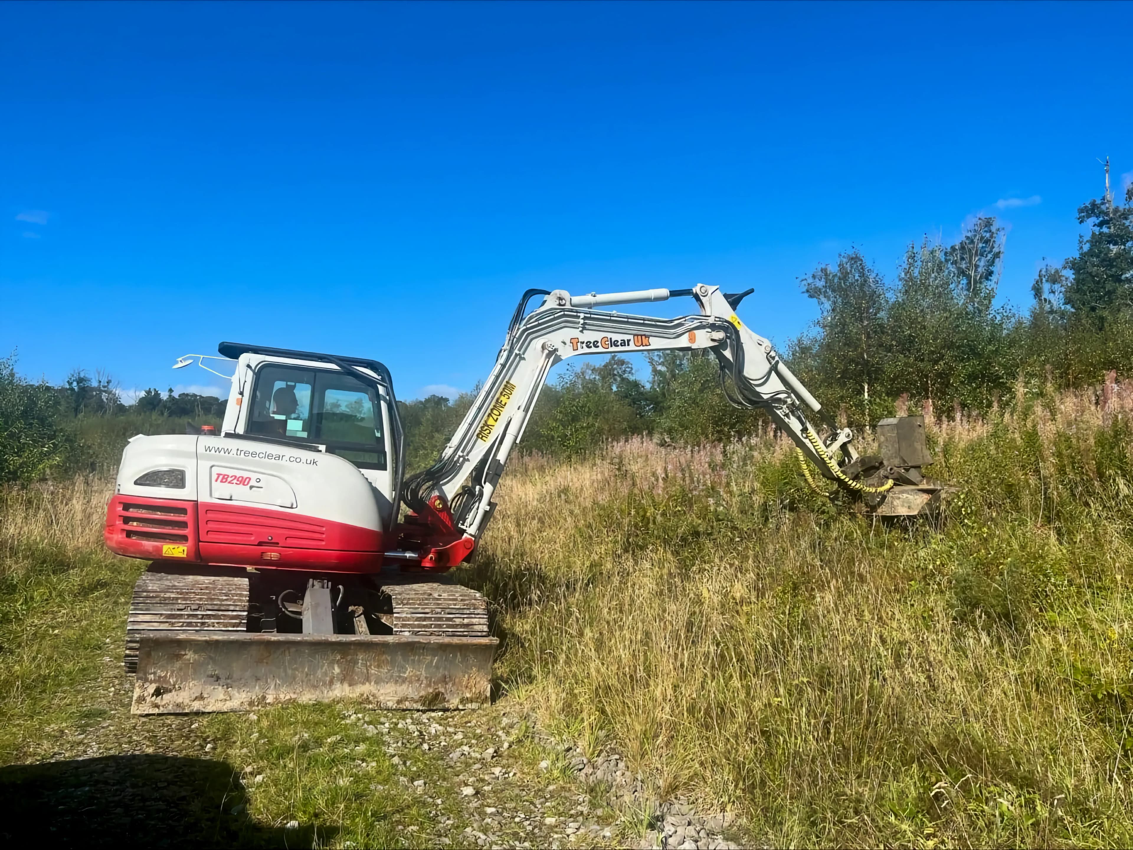 Restoring Land Value & Usability Through Vegetation Management: An Environmental Approach