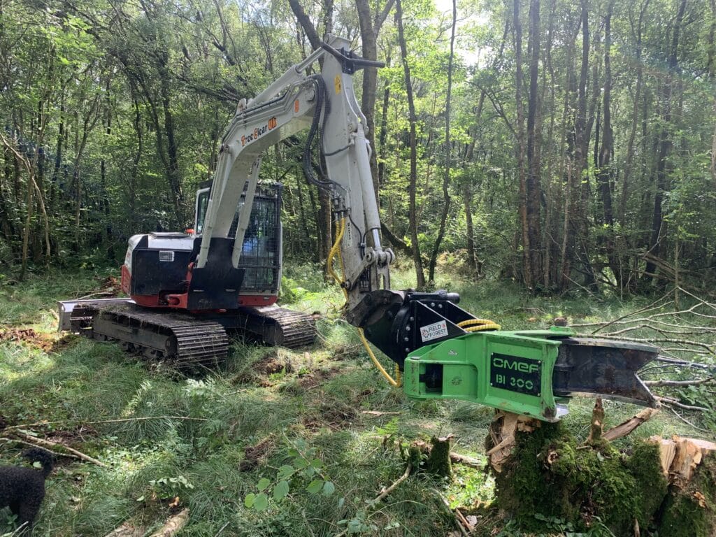 Tree Shearing