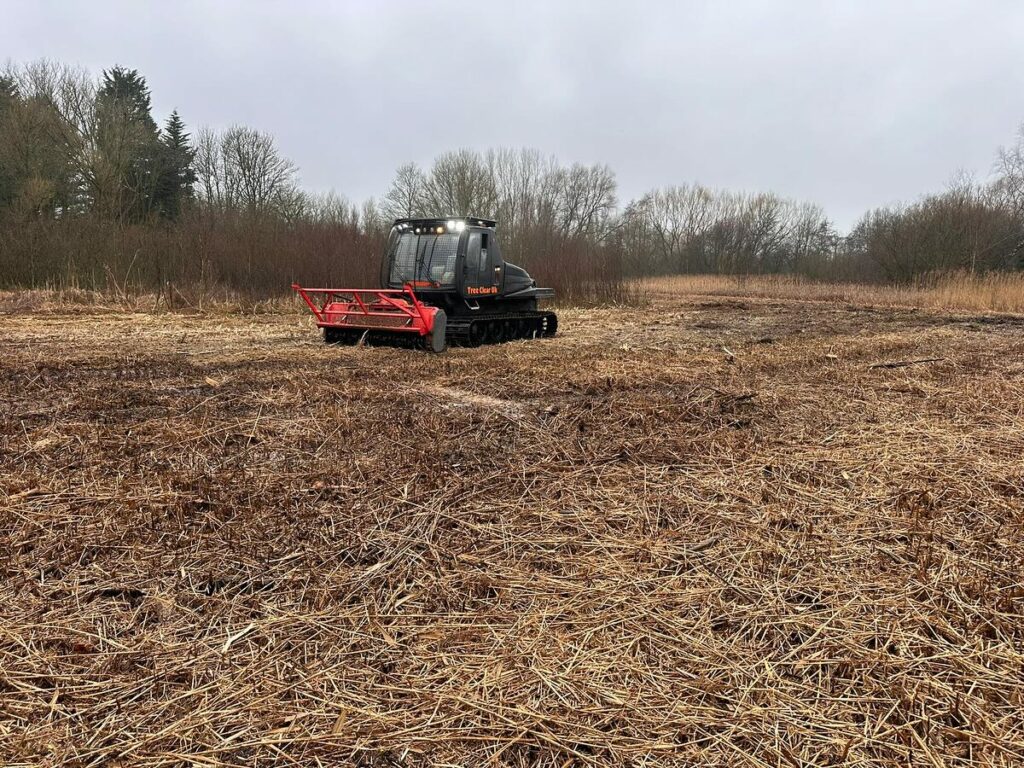 forestry mulching