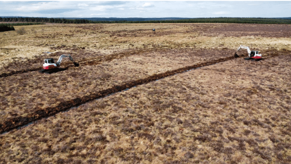 peatland restoration