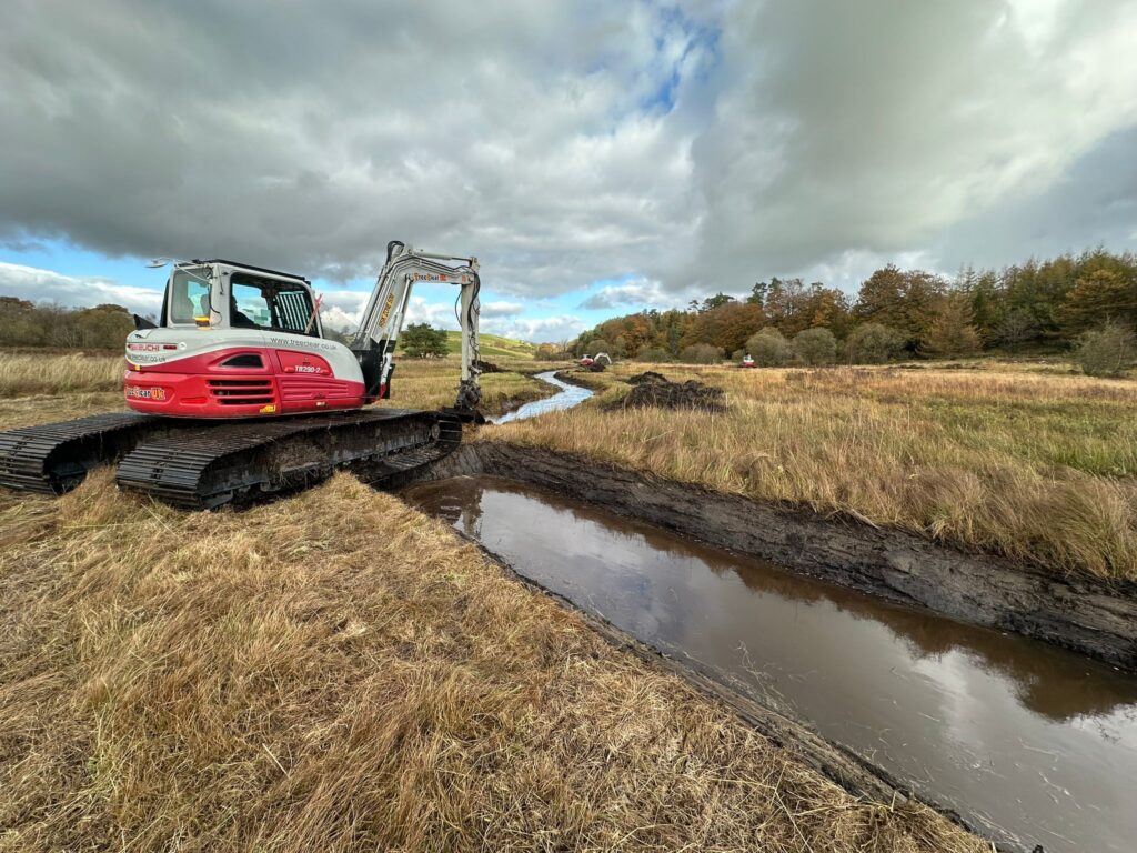 SSSI restoration (river creation)