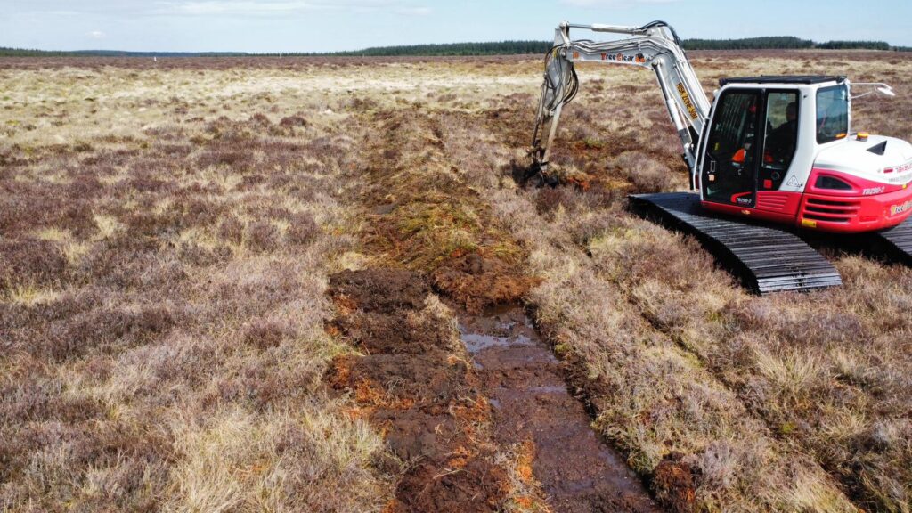 SSSI restoration (Deep Bunding)