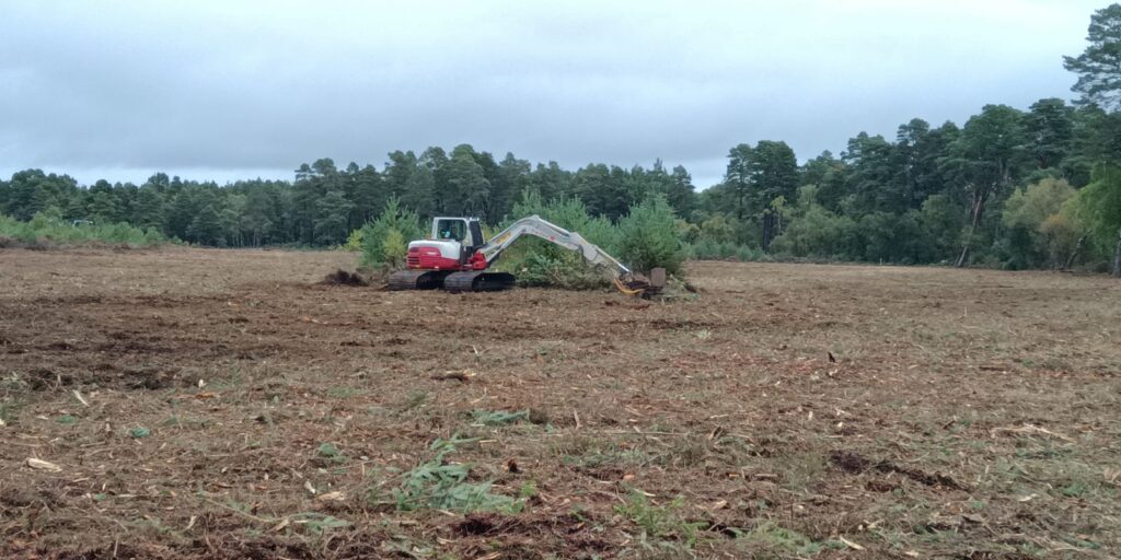 SSSI restoration (mulching)